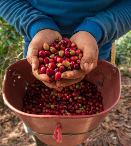 VZN7UNBC65GRXIRE2PJK5VOXCE